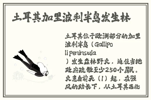 中国凸凸凸凹凹凹偷窥XXXX